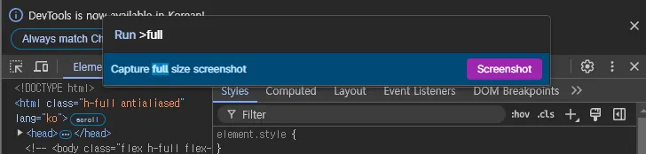 크롬 스크롤 캡쳐